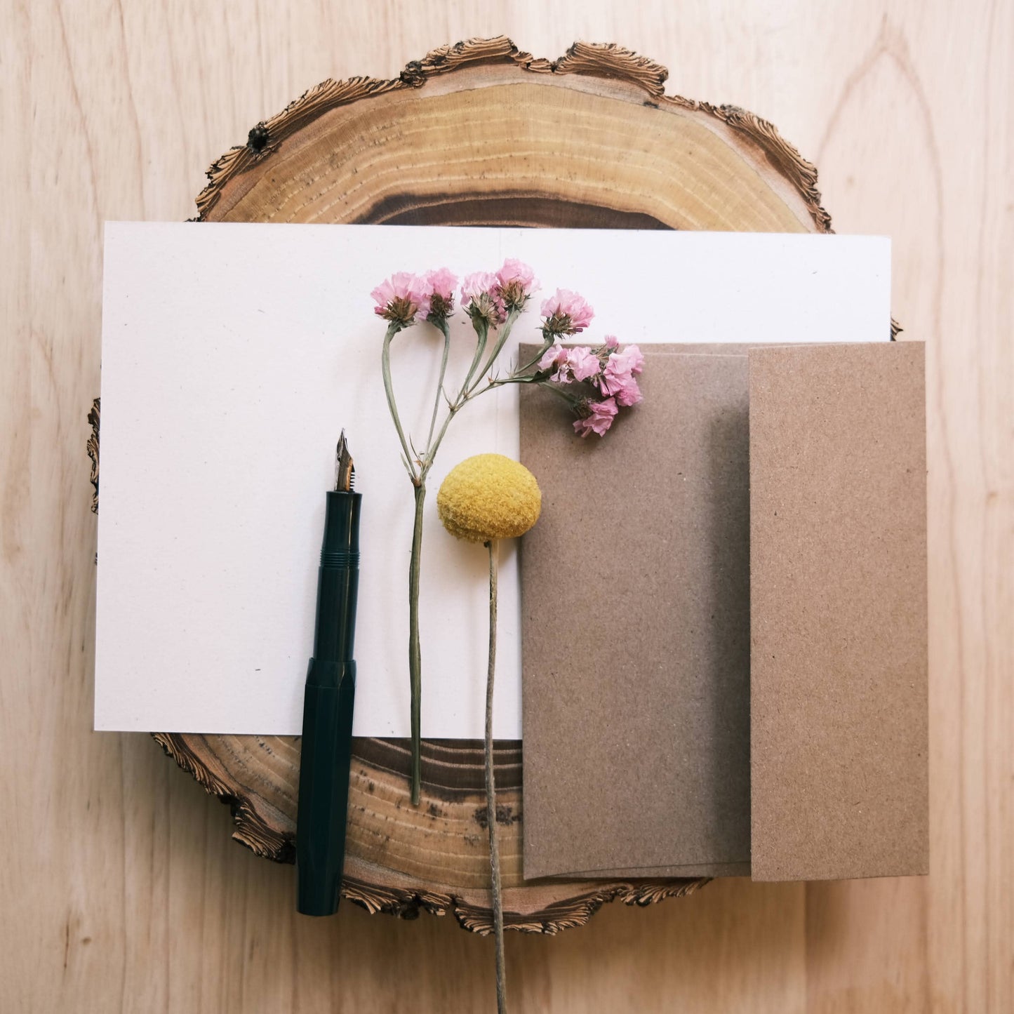 Greeting Card: Porcupine Snail Mail