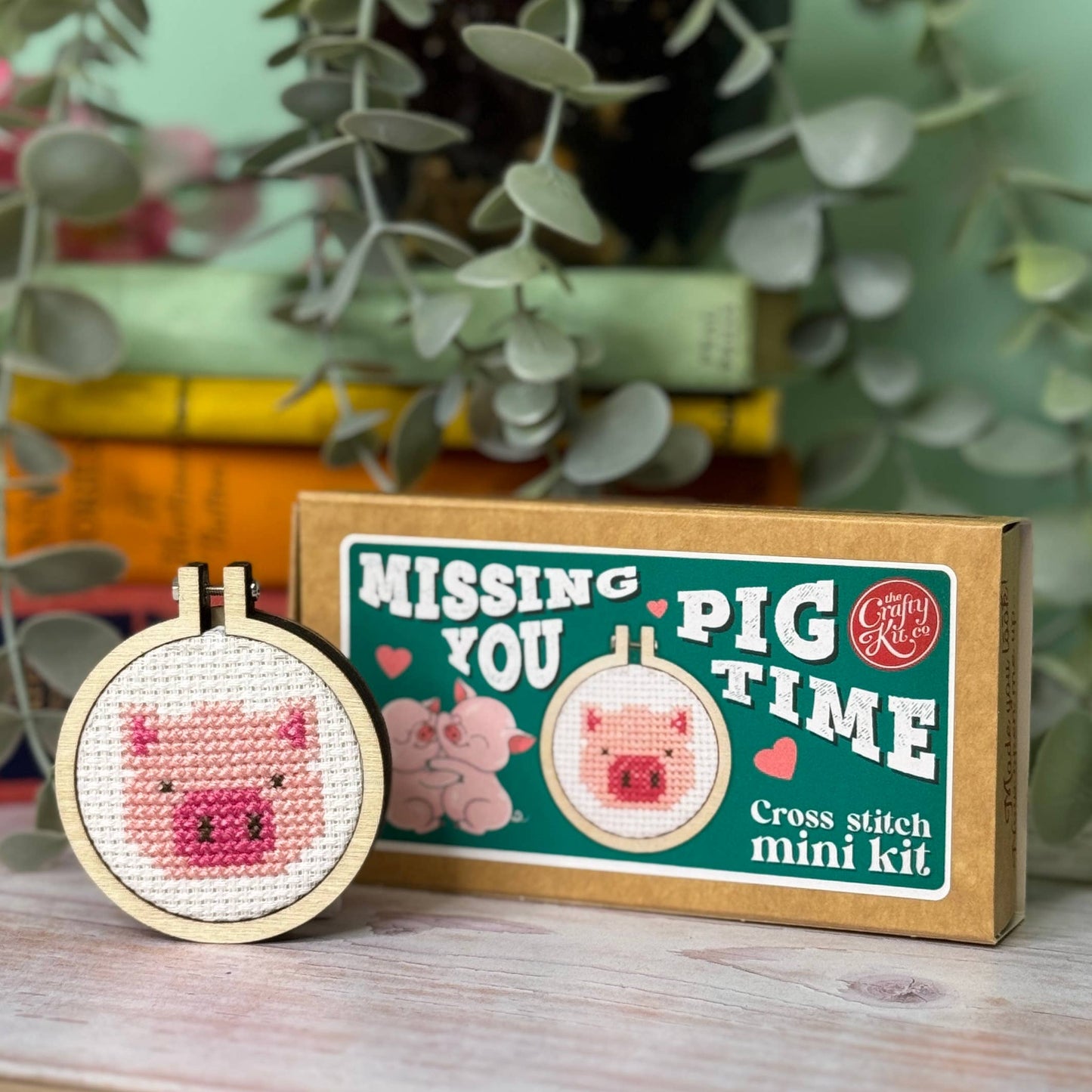 Mini Matchbox Cross Stitch Kit: Missing You Pig Time