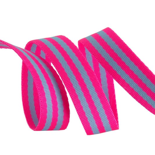 Tula Pink - Aqua/Hot Pink Striped Nylon Webbing – 1" Wide /2 yards