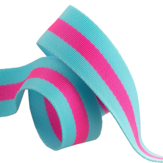 Tula Pink - Aqua/Hot Pink Striped Nylon Webbing – 1.5" Wide / 2 Yards
