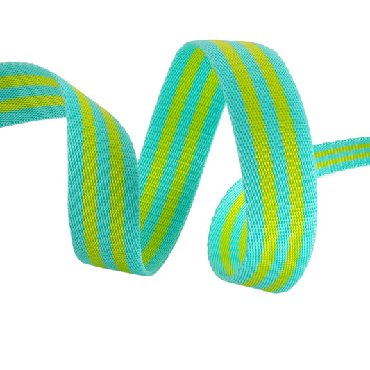 Tula Pink - Lime/Turquoise Striped Nylon Webbing – 1" Wide / 2 Yard