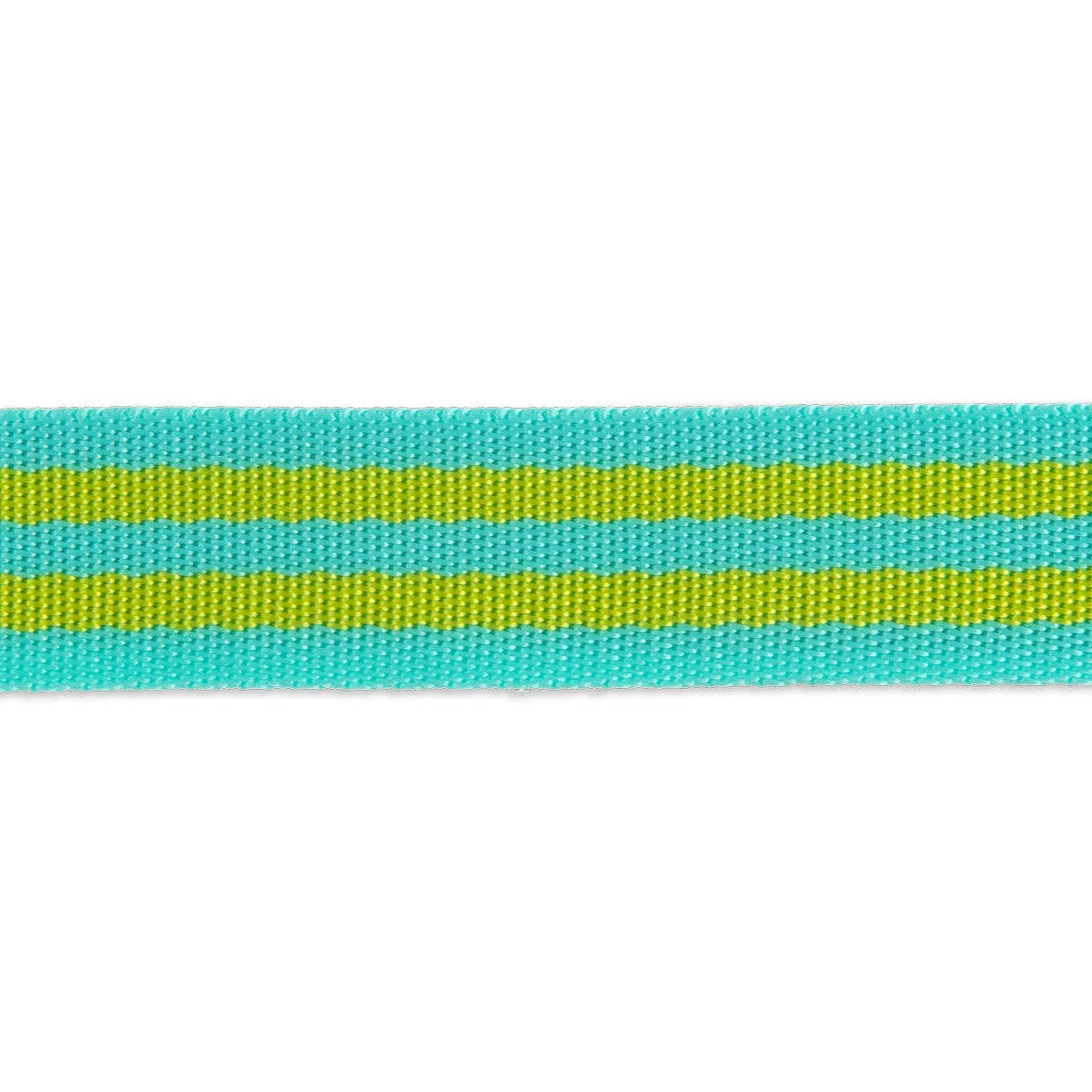 Tula Pink - Lime/Turquoise Striped Nylon Webbing – 1" Wide / 2 Yard