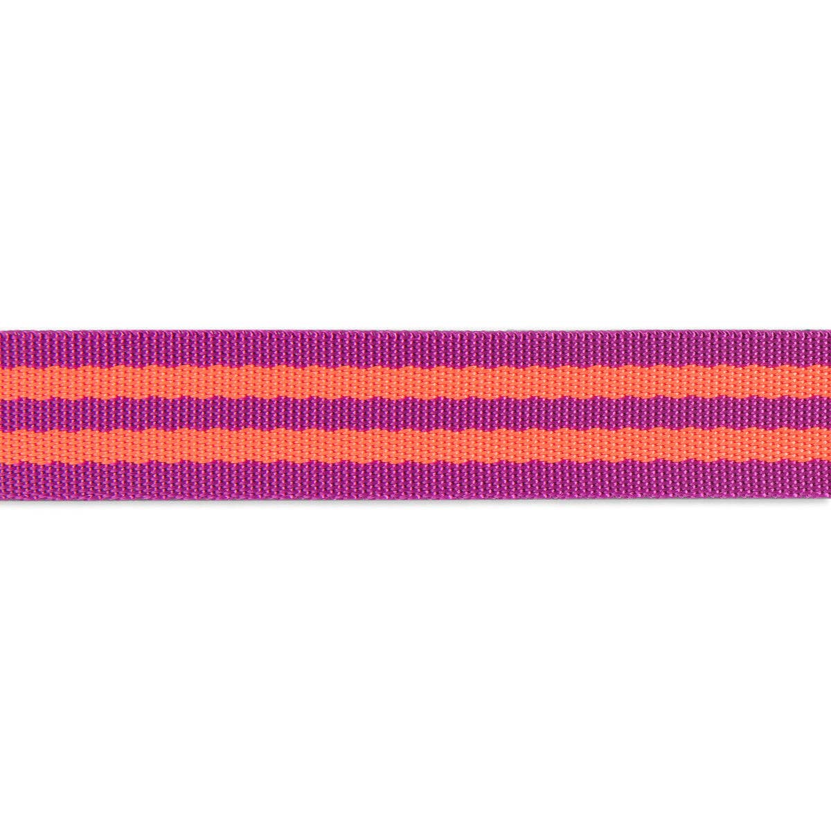 Tula Pink Striped Nylon Webbing – 1" Wide – Watermelon & Plum Slushy – 2 Yard Pack