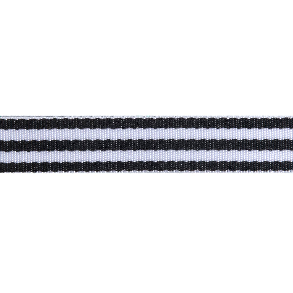 Tula Pink - Black & White Striped Nylon Webbing – 1" Wide / 2 Yard