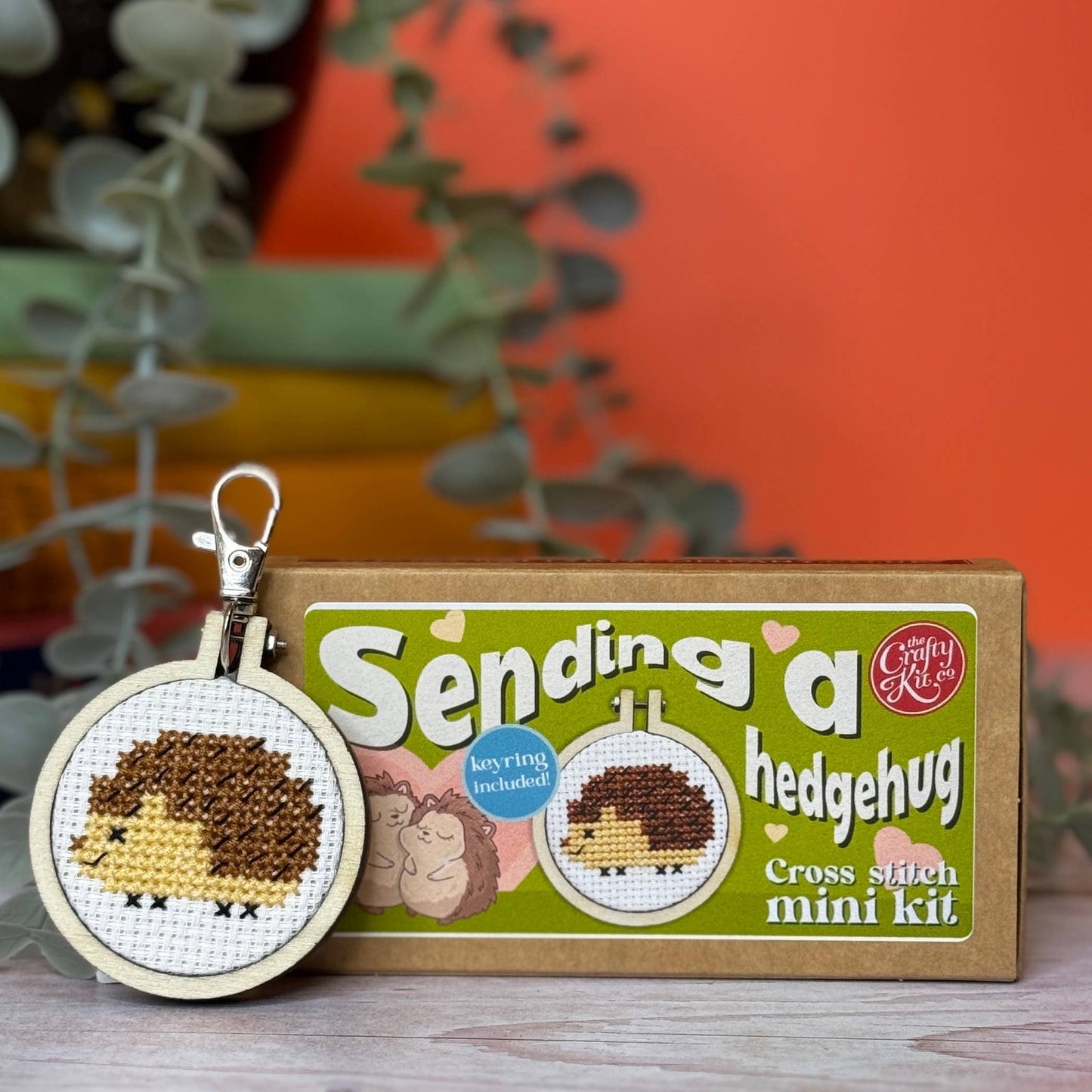Mini Matchbox Cross Stitch Kit: Sending a hedgehug