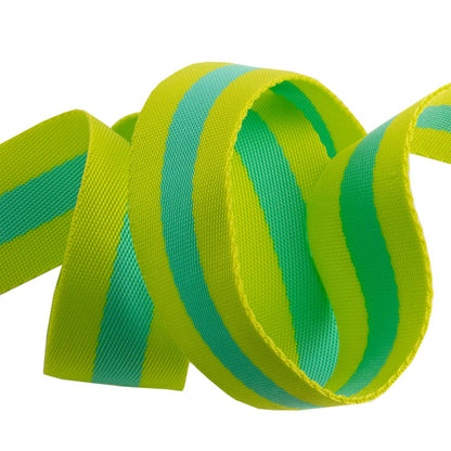 Tula Pink - Lime/Turquoise Striped Nylon Webbing – 1.5"/ 2 Yards