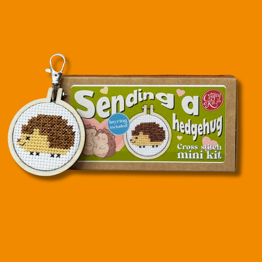 Mini Matchbox Cross Stitch Kit: Sending a hedgehug