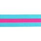 Tula Pink - Aqua/Hot Pink Striped Nylon Webbing – 1.5" Wide / 2 Yards