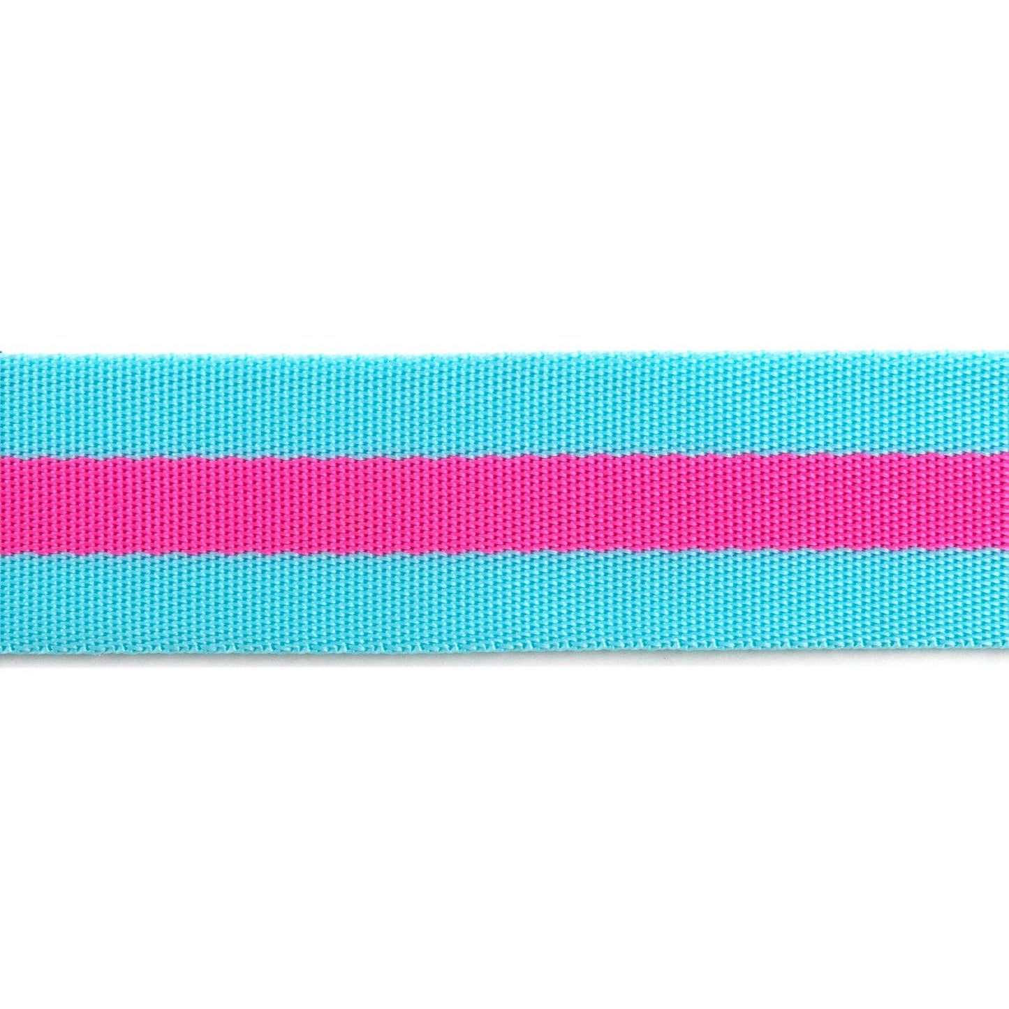 Tula Pink - Aqua/Hot Pink Striped Nylon Webbing – 1.5" Wide / 2 Yards
