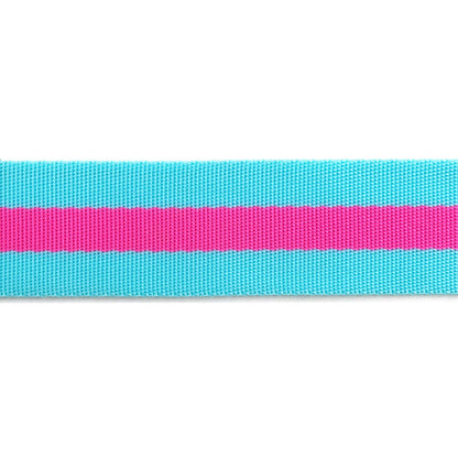 Tula Pink - Aqua/Hot Pink Striped Nylon Webbing – 1.5" Wide / 2 Yards
