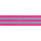 Tula Pink - Aqua/Hot Pink Striped Nylon Webbing – 1" Wide /2 yards