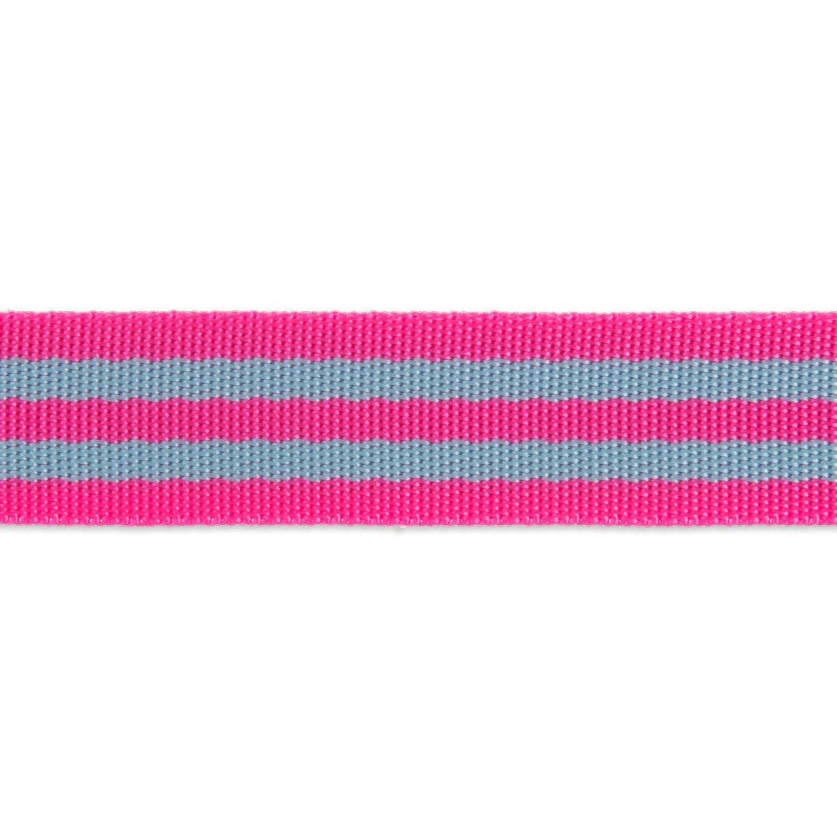Tula Pink - Aqua/Hot Pink Striped Nylon Webbing – 1" Wide /2 yards
