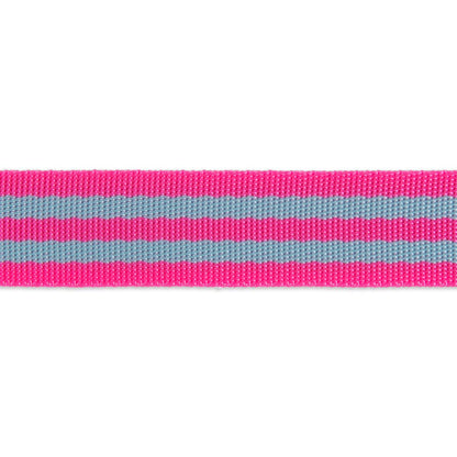 Tula Pink - Aqua/Hot Pink Striped Nylon Webbing – 1" Wide /2 yards