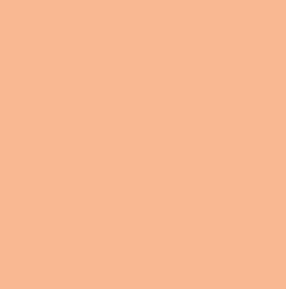 Pure Solids by Art Gallery Fabrics - Shrimpy