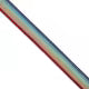 Sallie Tomato - Metallic Rainbow Webbing 1-1/2in x 3 yd
