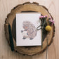 Greeting Card: Porcupine Snail Mail