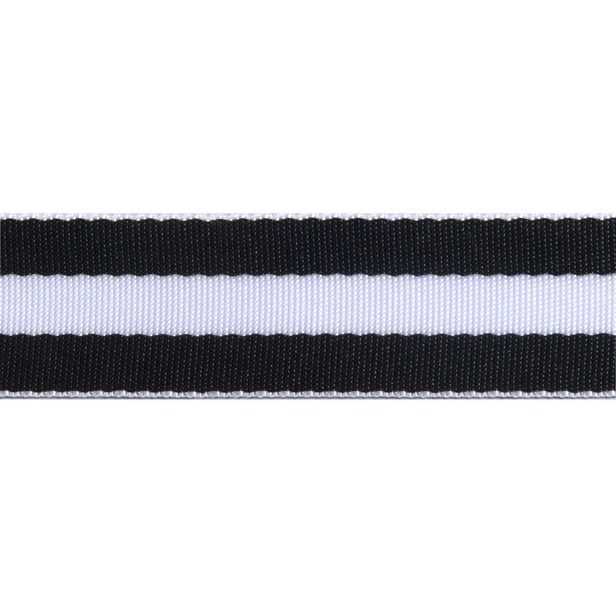 Tula Pink Striped Nylon Webbing – 1 and half Wide