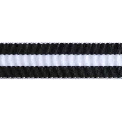 Tula Pink Striped Nylon Webbing – 1 and half Wide
