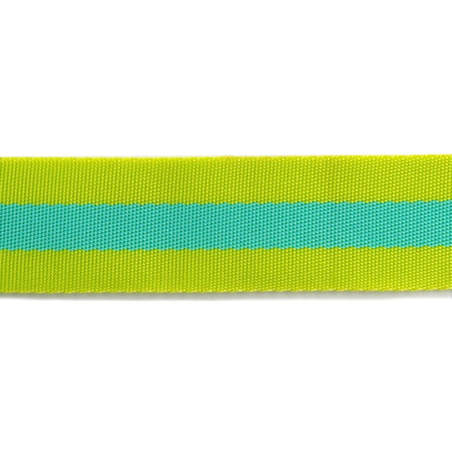 Tula Pink - Lime/Turquoise Striped Nylon Webbing – 1.5"/ 2 Yards