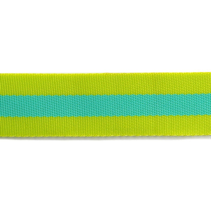 Tula Pink - Lime/Turquoise Striped Nylon Webbing – 1.5"/ 2 Yards