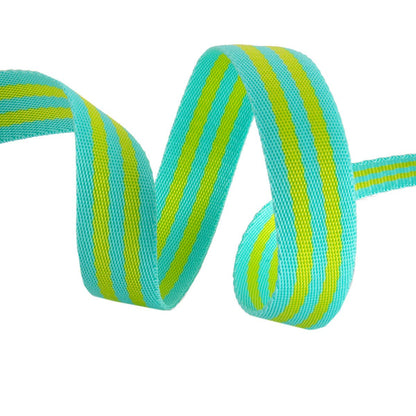 Tula Pink - Lime/Turquoise Striped Nylon Webbing – 1" Wide / 2 Yard
