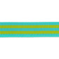 Tula Pink - Lime/Turquoise Striped Nylon Webbing – 1" Wide / 2 Yard