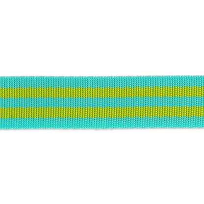 Tula Pink - Lime/Turquoise Striped Nylon Webbing – 1" Wide / 2 Yard