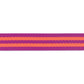 Tula Pink Striped Nylon Webbing – 1" Wide – Watermelon & Plum Slushy – 2 Yard Pack