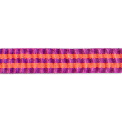 Tula Pink Striped Nylon Webbing – 1" Wide – Watermelon & Plum Slushy – 2 Yard Pack